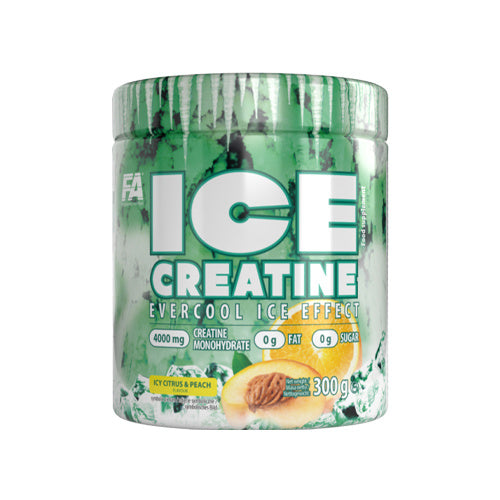 FA ICE Creatine 300 g (Kreatinas) - FEN sport nutrition
